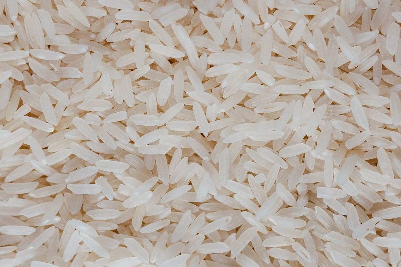 rice - chawal