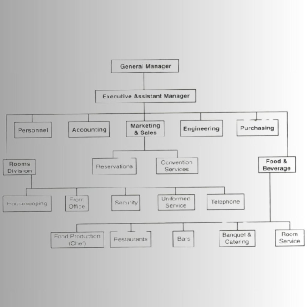 Hotel Department, Their Functions, & Common Positions