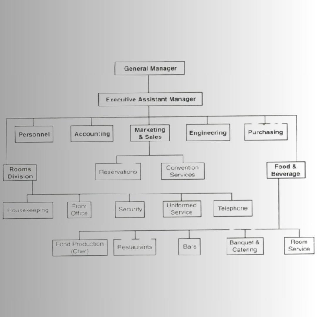 Hotel Department, Their Functions, & Common Positions