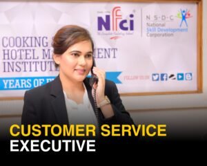 Customer Service Executive