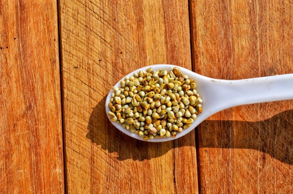 kodo Millet
