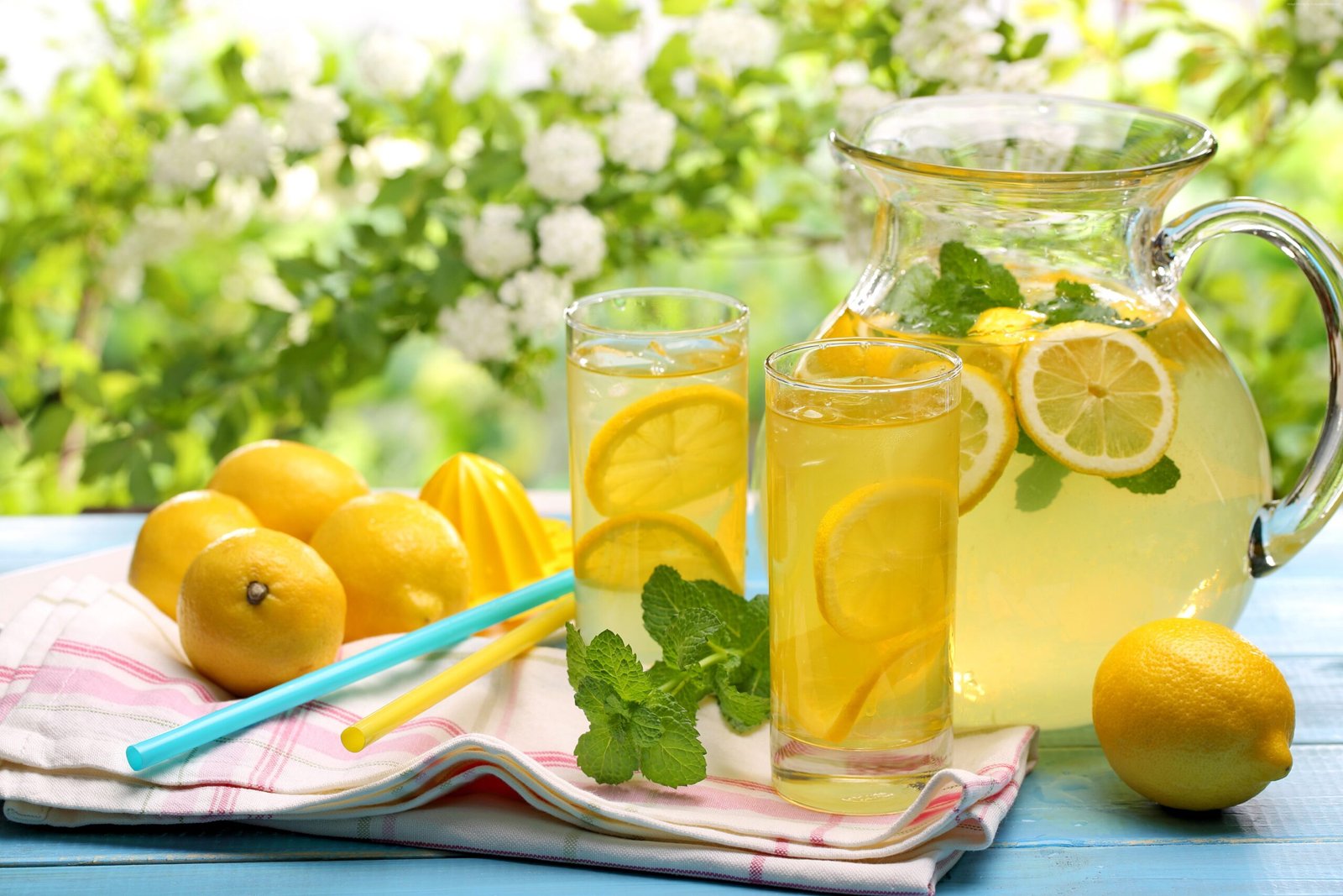 summer fruit drink - lemonade 