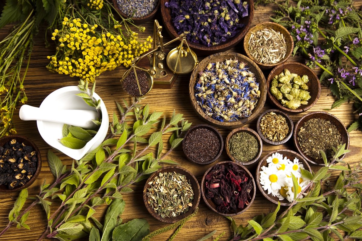 Healing Culinary Herbs for wellness