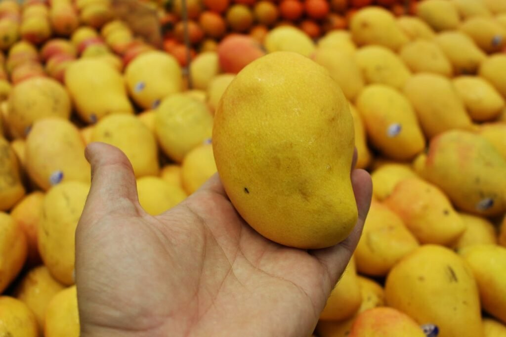 Mango Varieties in India