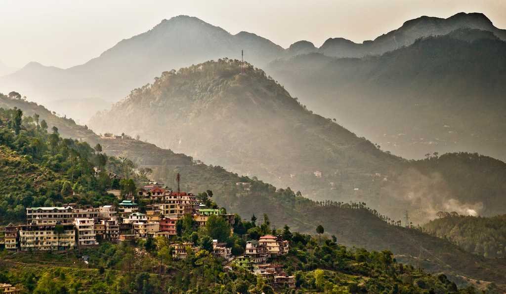 Hospitality and Culinary Courses in Solan 