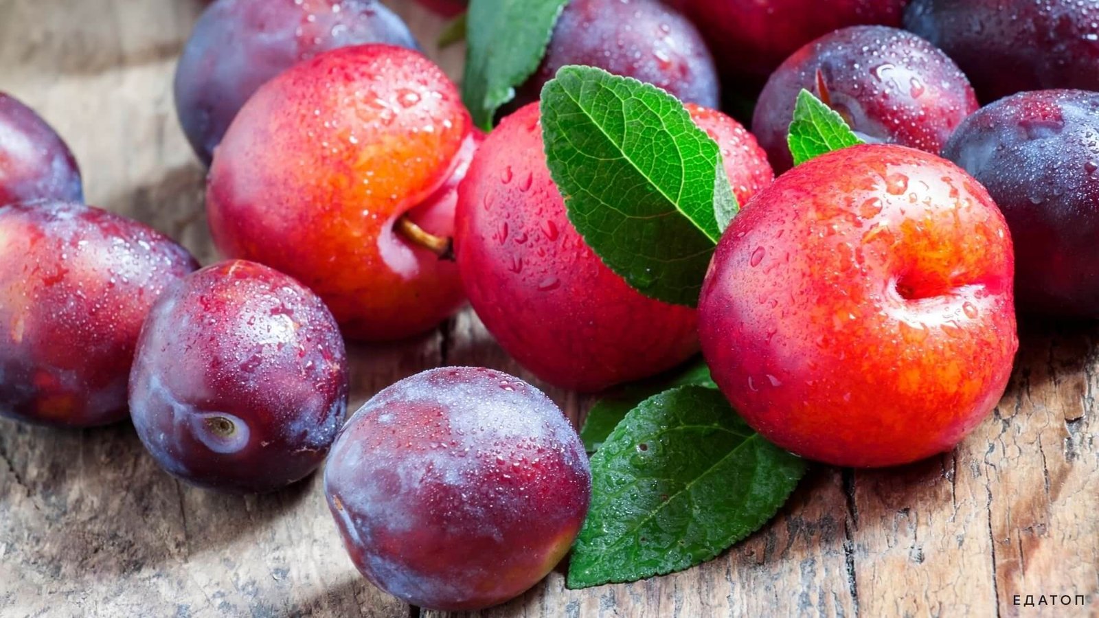 Enjoy drupe monsoon/summer fruit Plums