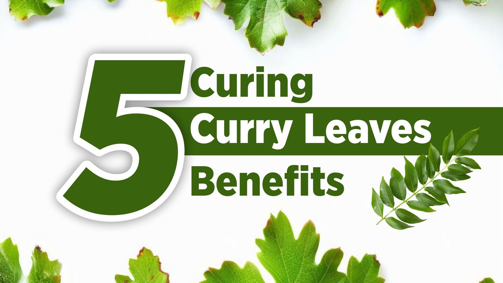 Curry Leaves Benefits