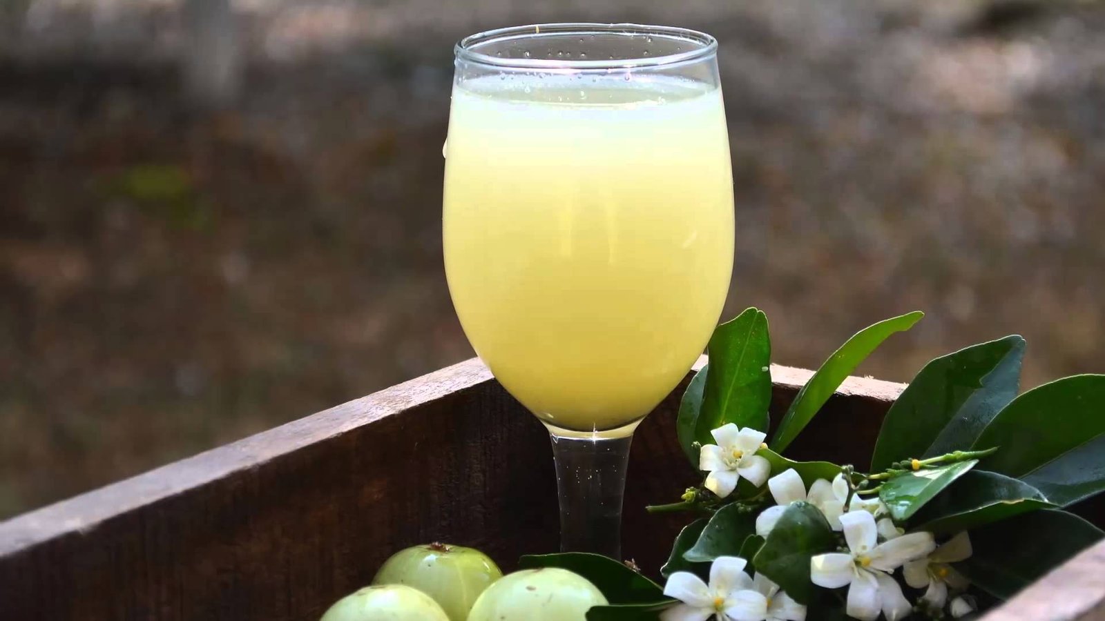 Fruit Juice: amla-juice