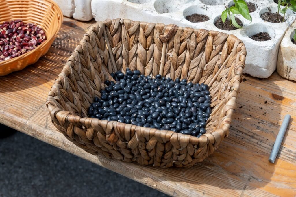 Black Beans | Foods