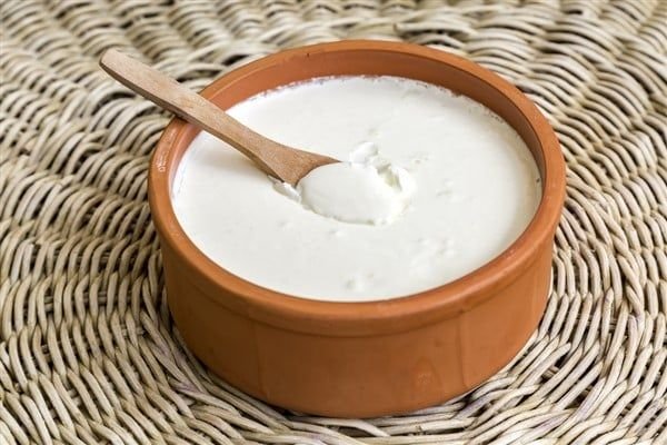 yogurt-karwa chauth sargi drink | Karwa Chauth 2024 