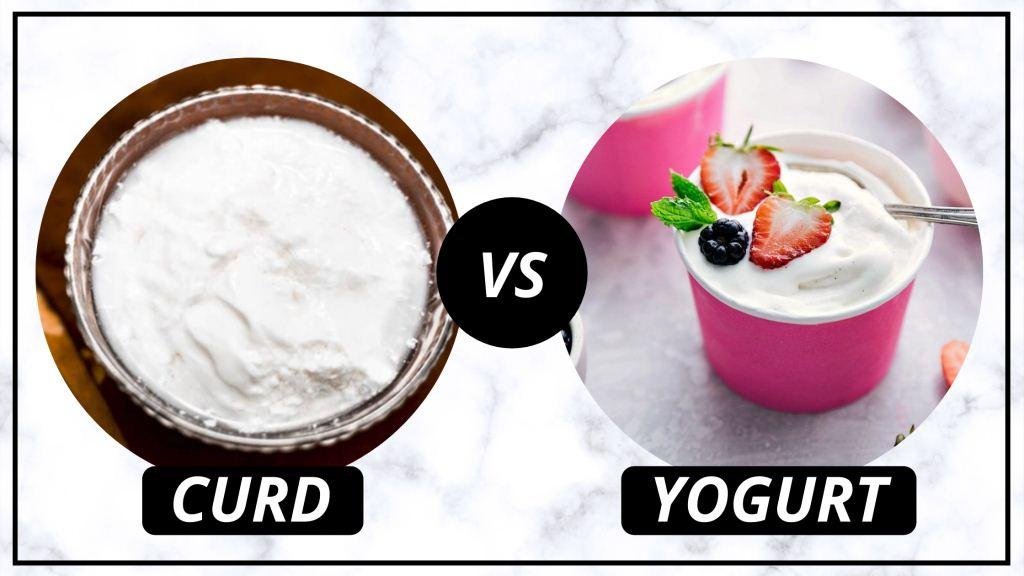 Yogurt vs Curd: What is the Real Difference?