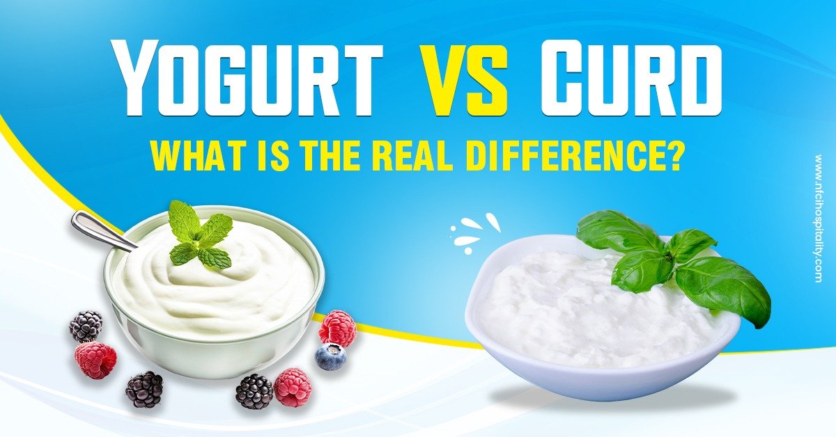 Yogurt vs Curd: What is the Real Difference?