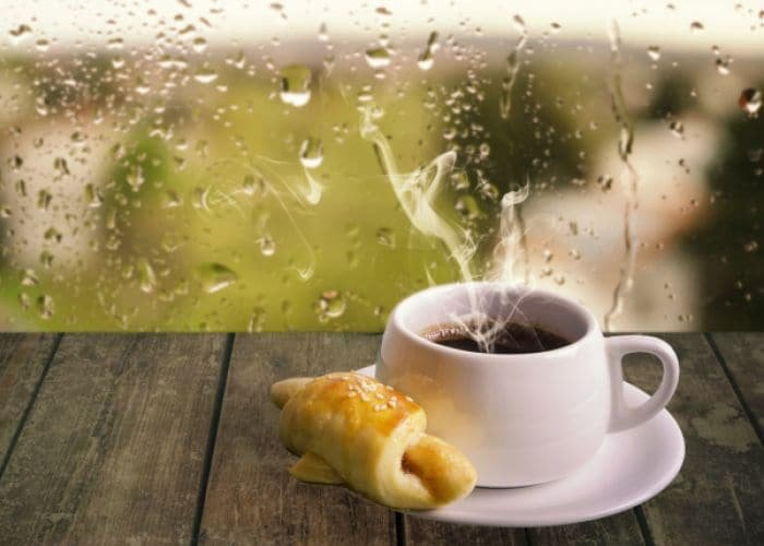 Why Rain Season Food Hits Different?