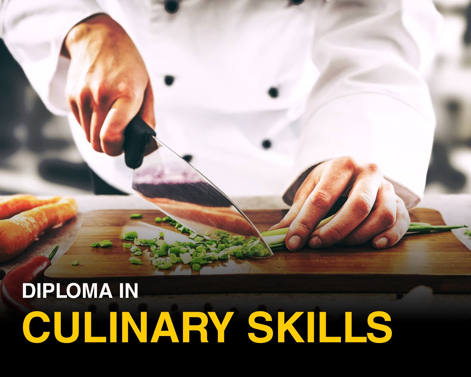Diploma In Culinary Skills in Mohali - NFCI+NSDC