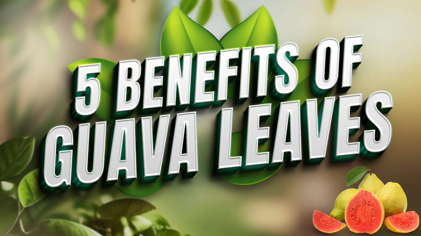 Guava Leaves Benefits | How to eat the leaves in daily routine!
