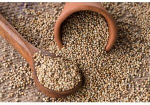 Finger Millet