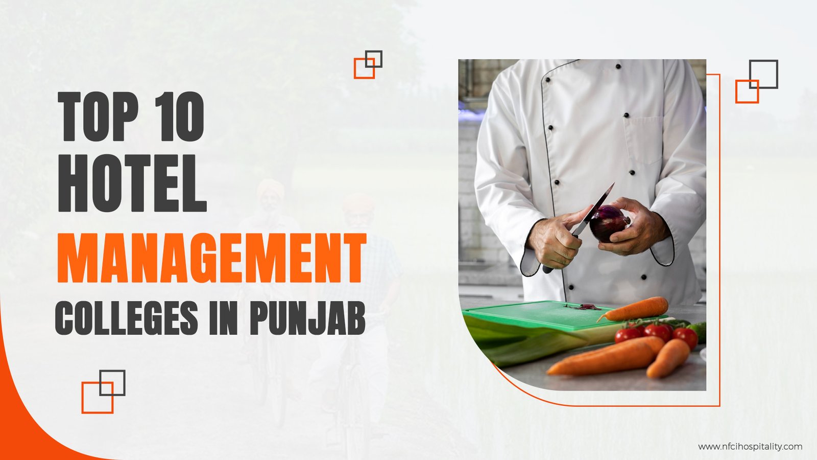 Top 10 Hotel Management Colleges in Punjab