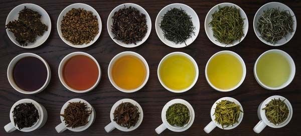 Types of Tea You’ll Find at Modern Tea Bars