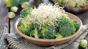 broccoli sprouts