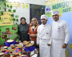 Mango Fest Highlight