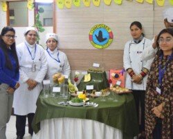 Mango Fest Highlight