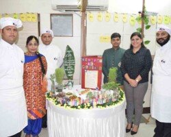 Mango Fest Highlight