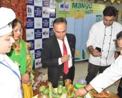 Mango Fest Highlight