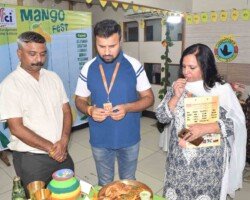 Mango Fest Highlight