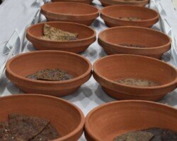 NFCI in Indian Book of Records