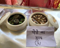 Sveep Activity at NFCI Barsar